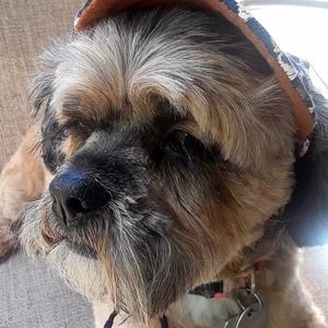 Meet your Posher, Kathy